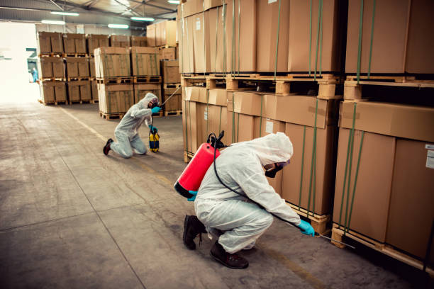 Best Flea Control Services  in Spring Creek, NV