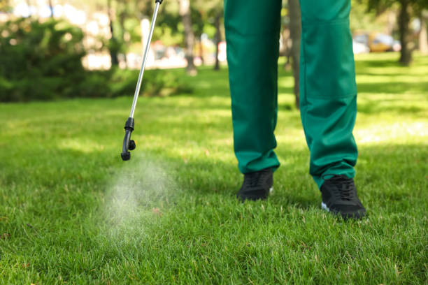Best Mosquito Control Services  in Spring Creek, NV
