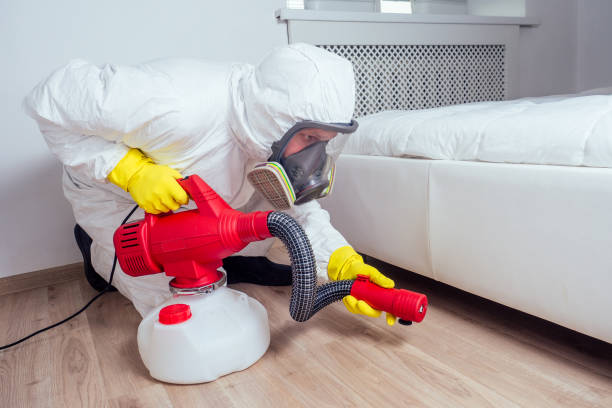 Best Best Pest Control Companies  in Spring Creek, NV